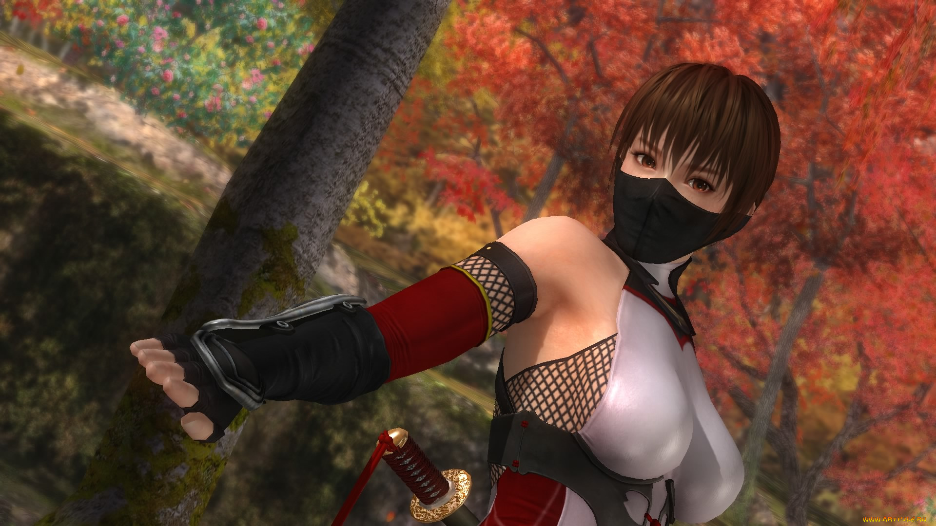  , dead or alive 5, , , , 